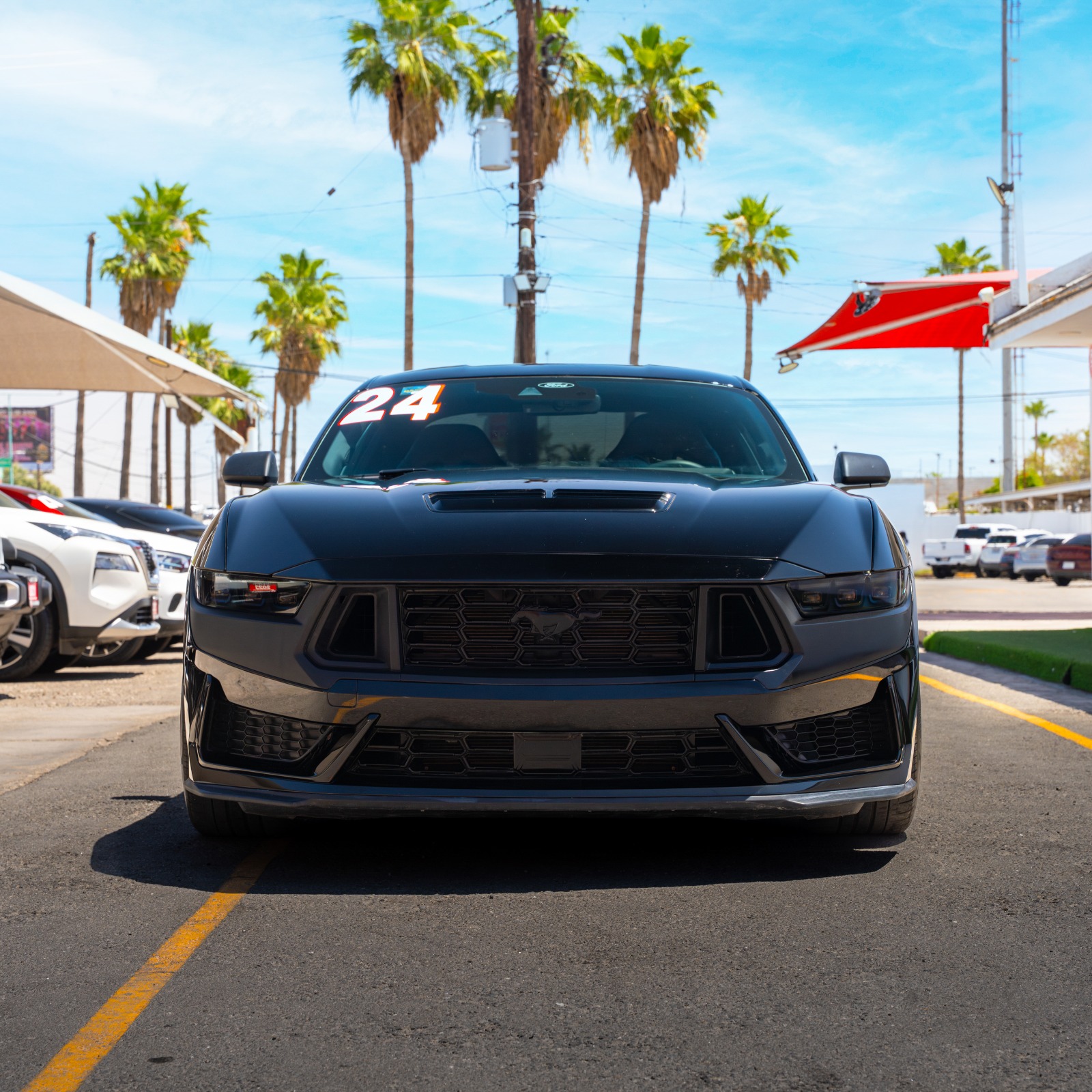 FORD MUSTANG DARK HORSE 2024