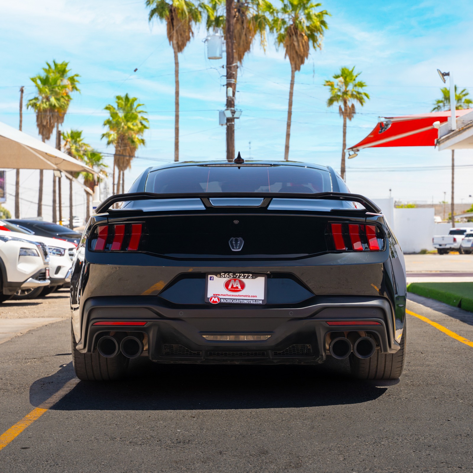FORD MUSTANG DARK HORSE 2024