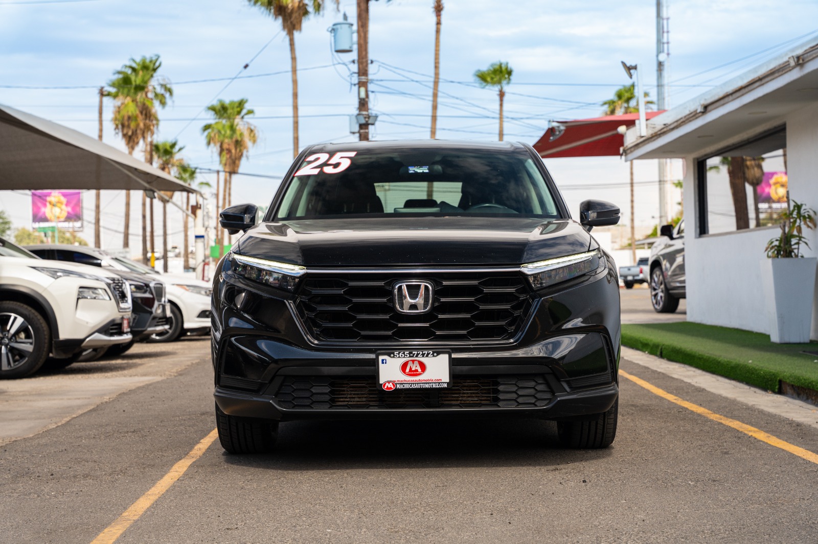 HONDA CRV TURBO PLUS 2025