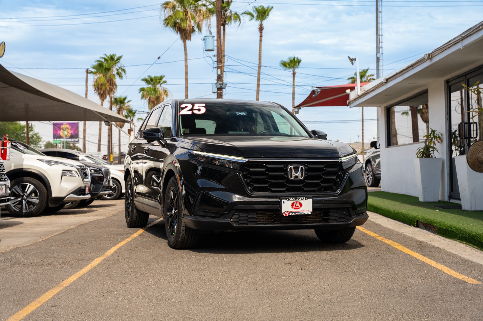 HONDA CRV TURBO PLUS 2025