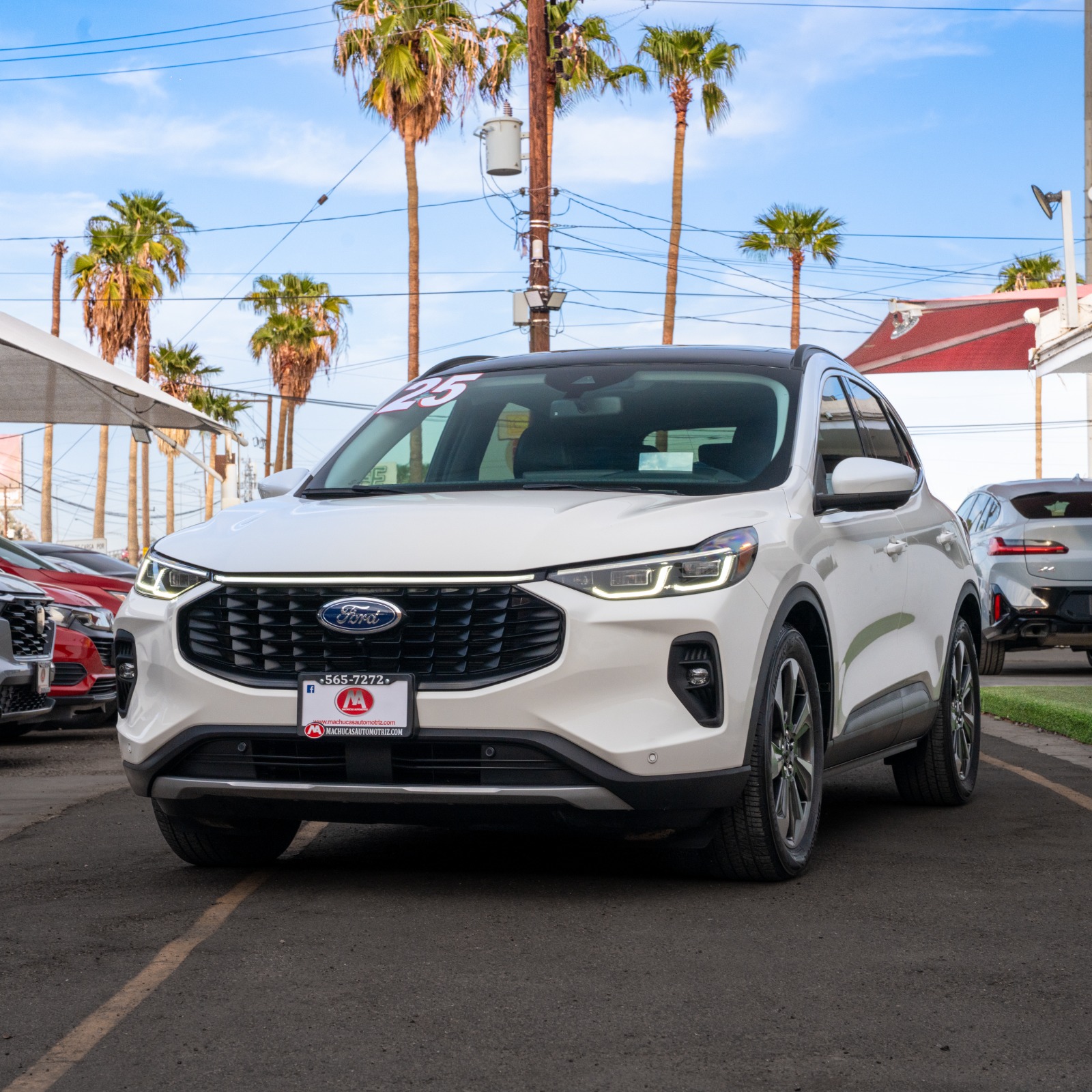 FORD ESCAPE PLATINUM FWD HEV 2025 BLANCO